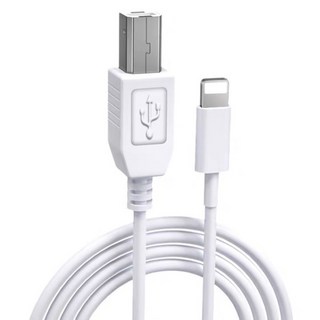 Lighting to Type B 電鋼琴連接線, 白色, 1個