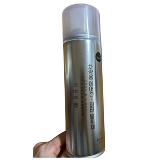 [B-CARE] 차량 에어컨 청소 클리너 에바 전용 탈취 스프레이 냄새 제거용, 1개, 168g