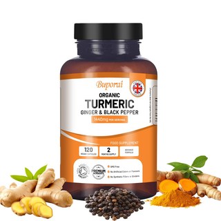 유기농 강황 커큐민 1440mg 120캡슐 : 검은 후추 & 생강, 2개, 60정