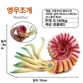 고대생물 해양동물 앵무조개 피규어 암모나이트 모형, 꽃무늬, 1개