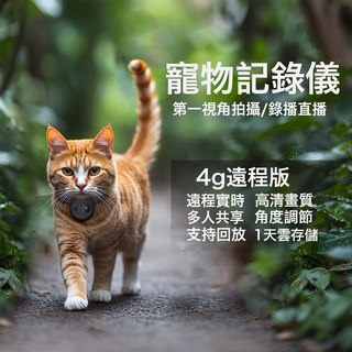 4G貓狗寵物視角攝像頭掛脖記錄儀監控直播智能項圈揹帶貓咪, 1個, 4G標配+揹帶M碼+32G內存卡, 1個