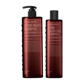 [한정기획] 커리쉴 에프터 살롱 케어 샴푸 500ml 기획 (+360ml 증정), 샴푸 500+360ml