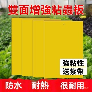 台南出貨 雙面黏蟲板 果蠅誘蟲板 多種尺寸 抓果蠅蒼蠅小飛蟲 園藝用品菜園果園 庭院農作物, 1個, 20片超值特惠（效果增強50%）,20*15雙麵加厚黃色（100片最優惠）