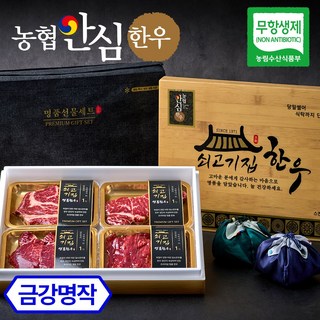 [농협안심한우] 쇠고기집 무항생제 인증 한우 선물세트 소고기 명절선물, 2-A) 금강명작 실속, 1세트