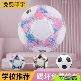 特價包郵5號足球：中考中小學生幼兒園訓練比賽PVC機縫兒童足球, 1個, 黑白【贈氣筒大禮包】