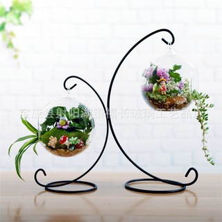 迷你微景觀苔蘚瓶多肉生態瓶DIY植物盆栽，桌面療癒擺件，輕鬆打造綠意生活, 1個