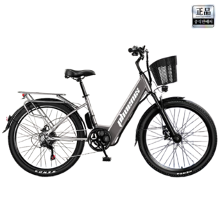 플렉시클 2025년형 전기 자전거 미니벨로 바구니 전동 리튬 배터리 출퇴근 배달 스쿠터 여성용, 그레이, 스틸