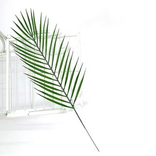 韓系ins風仿真龜背葉綠植擺件，清新家居裝飾攝影道具，室內綠植擺設，拍照背景裝飾, 1個, 1支綠植葉