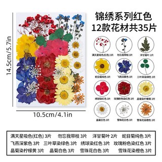 【錦繡系列】大花包組合 真花壓花 永生花 乾燥花 DIY水晶滴膠植物標本 森林系少女寫真壁畫, 2.錦繡系列紅色