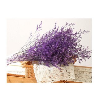 情人草乾燥花束 紫色大束 居家裝飾花材 批發可混色 長度70-80公分, 一大束/紫色