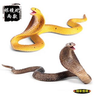 SPG 隨草憶境 仿真白化眼鏡蛇蛇王模型 冷血兩棲動物模型 兒童益智玩具, 1個