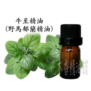 牛至精油 / 奧勒岡精油 / 野馬郁蘭精油, 1個, 30ml