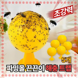 파밍올 초강력 끈끈이 해충 트랩 날벌레 초파리, 5개