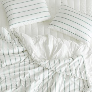 [독일 피부과학인증] Aller-X 더마 알러지케어 먼지없는 차렵 이불 간절기 가을 사계절 침구 세트