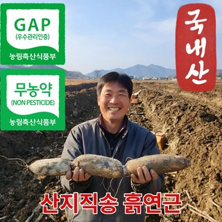 더맛곳간 무농약 국산 햇연근 흙연근 통연근 GAP인증 국내산 연근 생연근, 1개, 1kg