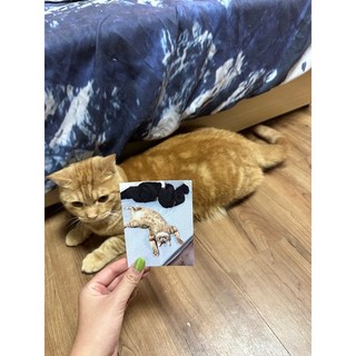 本店招財貓啊啊私密照 想吃罐頭心酸打工model畫面流出, 啊啊寫真照