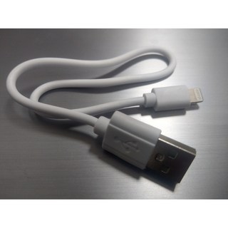 現貨 30cm Lightning 蘋果短線 短充電線 可用於行動電源充電, 1個, 30cm Lightning (蘋果線)