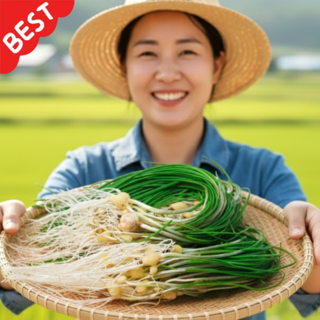 당일수확 국내산 햇 달래 세척 생 달래, 1개, 200g