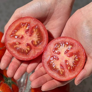 완숙 토마토 대과 국내산 찰토마토, 1개, 대과 2kg