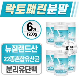 락토페린 분말 헬시위듀 분리유청단백 유산균, 200g, 6개