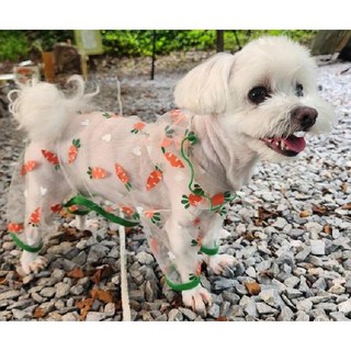 모멘트 강아지해충방지옷 반려견 모기장 진드기 여름 캠핑 벌레퇴치 망사 쿨링 냉감 쿨옷, 당근, 1개