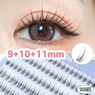 Winkii 노글루 속눈썹 자연스러운 투명라인 포인트 아이래쉬 9+10+11mm 풀 필요없음 180모 대용량, 1개, 필터