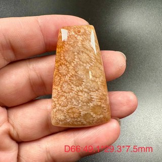 珊瑚玉菊花石吊墜 D66 全透光 獨特紋路 尺寸49.1*29.3*7.5mm