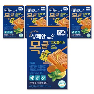 네오 상쾌한 목쿨 프로폴리스 캔디, 5개, 40g