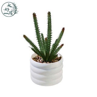 大好屋 仿真多肉盆栽組 辦公室桌面裝飾 仿真植物盆栽 拍照道具 裝飾綠植, 綠色、紅色, 1個