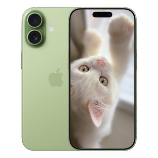 i폰 17 미개봉 새상품, 512GB, 세이지(Sage)