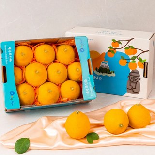 귤 선물세트
