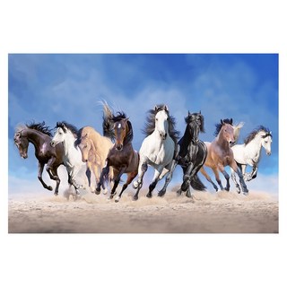 말 그림 팔마도 칠마도 행운 캔버스 액자 사무실 활력 기운 행마도, 04.재물 팔마도