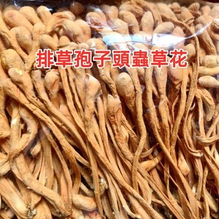 黃金蟲草花 蛹蟲草 無硫磺 300克/600克, 1個, 排草孢子頭蟲草花 600克(高品質)