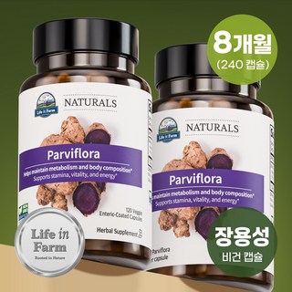 라이프인팜 파비플로라 흑생강 1000mg 장용성 240비건캡슐 8개월분 추출물, 2개, 120캡슐