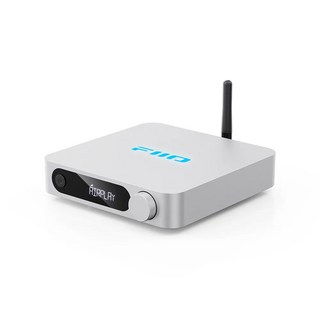 FiiO SR11 Wi-Fi無線音樂串流播放器.AirPlay/Roon Ready.台灣公司貨 醉音影音生活, 銀色, 1個