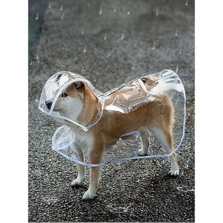 소형견 전용 투명 우비, 1개, 화이트