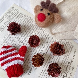 極度花燥 松花落葉松果乾燥花材組：毬果、尤加利果實，適用於聖誕花圈、藤圈DIY裝飾, 2022獨家色-銅酒紅2-3cm-5個