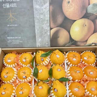 제주 감귤 레드향 천혜향 한라봉 설 선물세트 1박스 5kg, 5kg15수