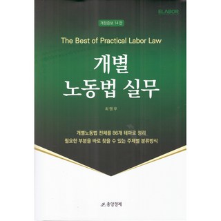 개별 노동법 실무, 중앙경제, 최영우