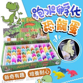 買10送1泡水孵化恐龍蛋，趣味膨脹恐龍蛋，兒童科學實驗玩具，多款恐龍造型, 1個, 恐龍蛋-隨機款式顏色買10送1單顆售