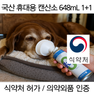 식약처 의약외품 국산 가정용 강아지 고양이 산소캔 마스크 산소통 산소방 호흡기 :: 등산 달리기 휴대용 스프레이, 2개