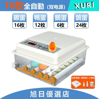 XURI 雙電壓全自動孵蛋器 - 雞蛋 鴨蛋 鵝蛋 鵪鶉蛋適用 (12雞蛋/8鴨蛋/5鵝蛋/18鵪鶉蛋), 16枚【雙電壓+贈送大禮包】現貨
