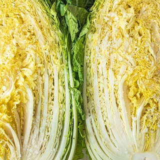 해남 황토밭에서 해풍맞고 자란 국산 천일염으로 절인 농장 산지 직송 절임배추, 1개, 20kg