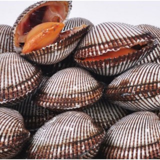 산지직송 별량 여자만 피꼬막 2kg, 1개, 피꼬막3kg