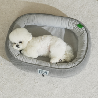 펫앤홈스 애견 꿀잠 방석, 그레이, 1개
