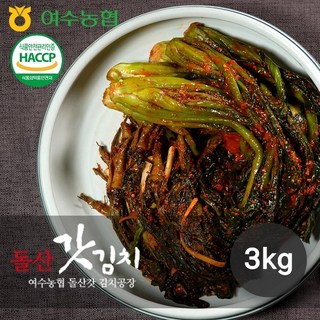 여수농협 [여수농협] 명품 전라도 여수 돌산 갓김치 3kg, 1개