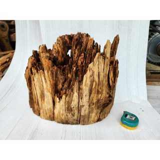 【十木工坊】奇木8.台灣檜木紅檜創作材, 1個