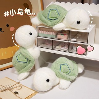 小烏龜公仔 絨毛玩偶 治癒系女生 陪睡抱枕 模型娃娃