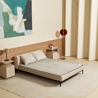 본사 공식 카보니 IOT 탄소매트 카본 전기매트, 킹 기본형, 극세사그레이