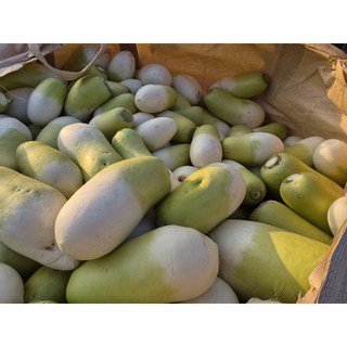 [거북] 제주 세척 월동무 못난이, 1박스, 10kg 내외